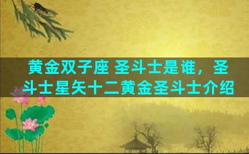 黄金双子座 圣斗士是谁，圣斗士星矢十二黄金圣斗士介绍